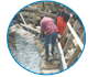 streamkeepers installing the coho fence on Dunlop Creek