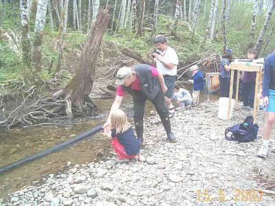 Dunlop Creek Indicator Fence Field Trip
Paul Smith showing a Ray Watkins elementary student how to release a Coho smolt back into Dunlop Creek.
Keywords: stewardship stewards streamkeepers coho smolt watershed assessment fish habitat riparian zone ecosystem