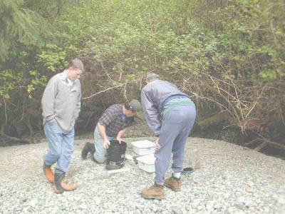 Fry Mark Recapture Assessment
Chris Erikson (Conuma Hatchery) conducting a fry mark recapture assessment with volunteers on Hutchinson Creek.
Keywords: stewardship stewards streamkeepers volunteers hutchinson creek fish habitat assessment watershed management riparian zone ecosystem